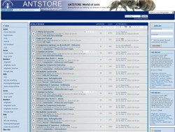 ANTSTORE Forum